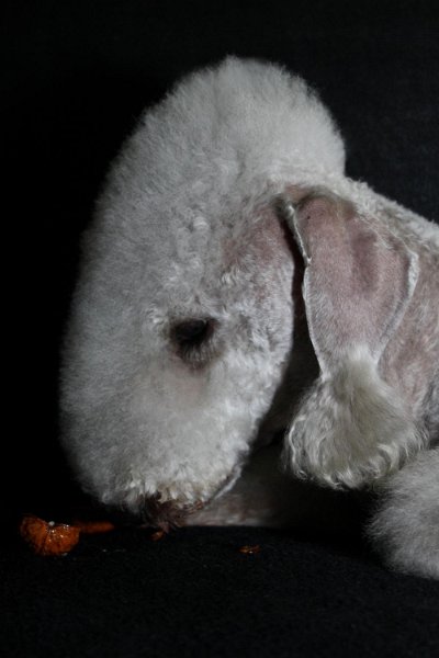 2010-11-14 Svet (15).jpg